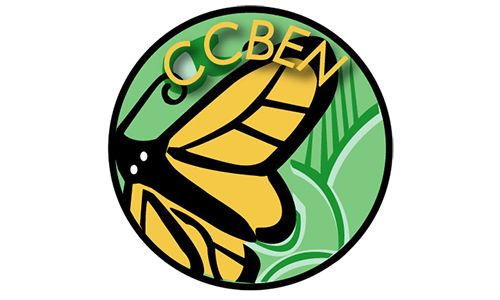 ccben-no-bg